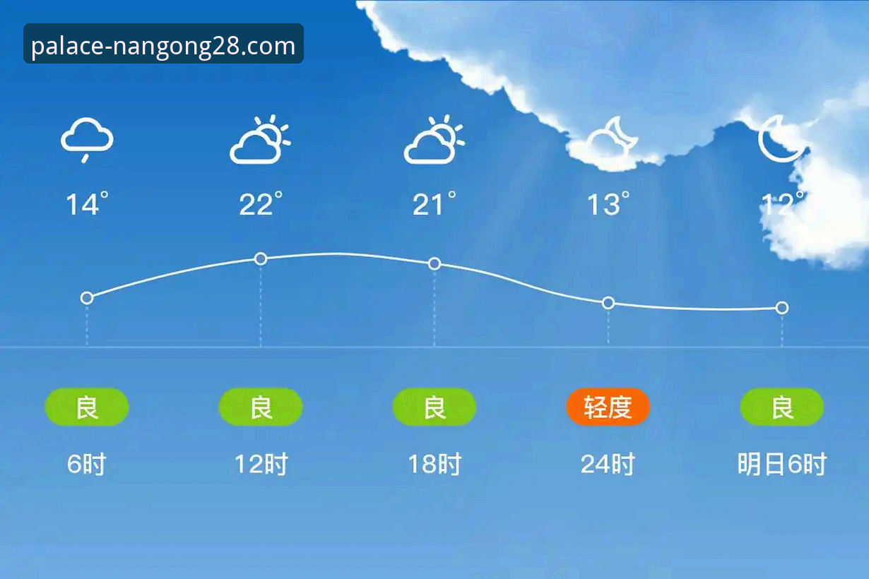 南宫28登录平台下载不了怎么办 新手必看:南宫28登录平台下载不了怎么办?我的使用心得与实战经验
